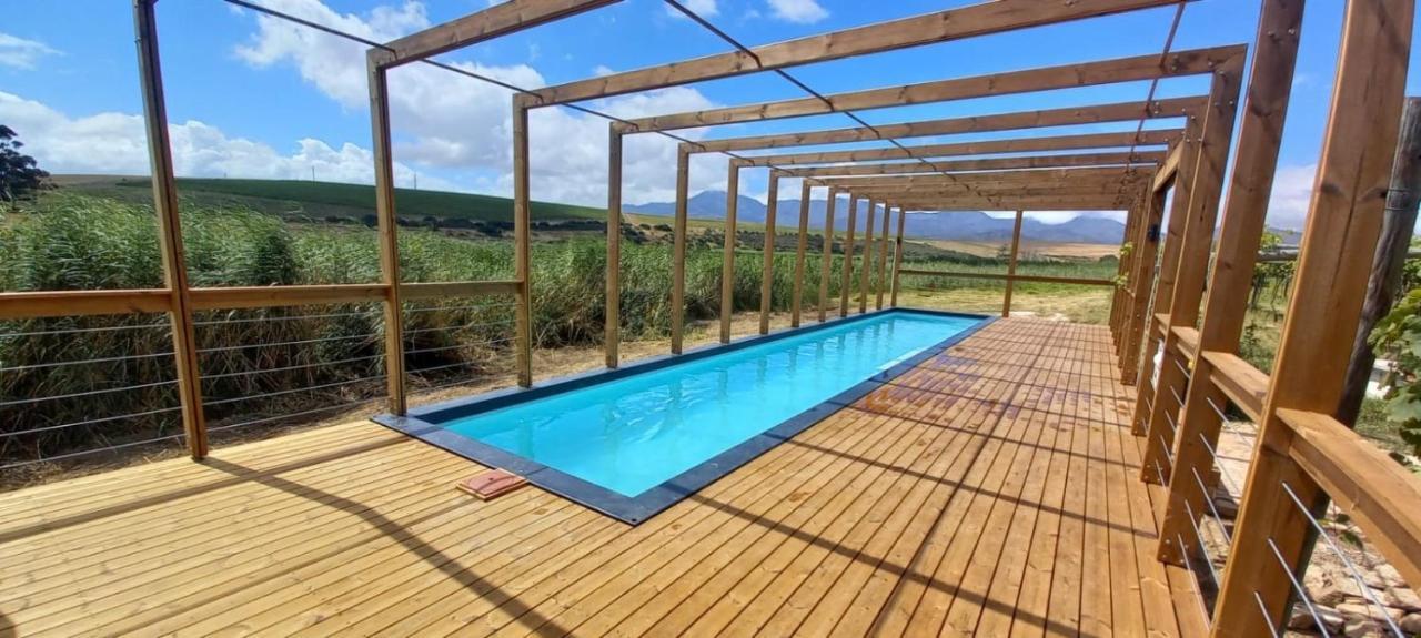 Endless Vineyards At Wildekrans Wine Estate Botrivier Exterior foto