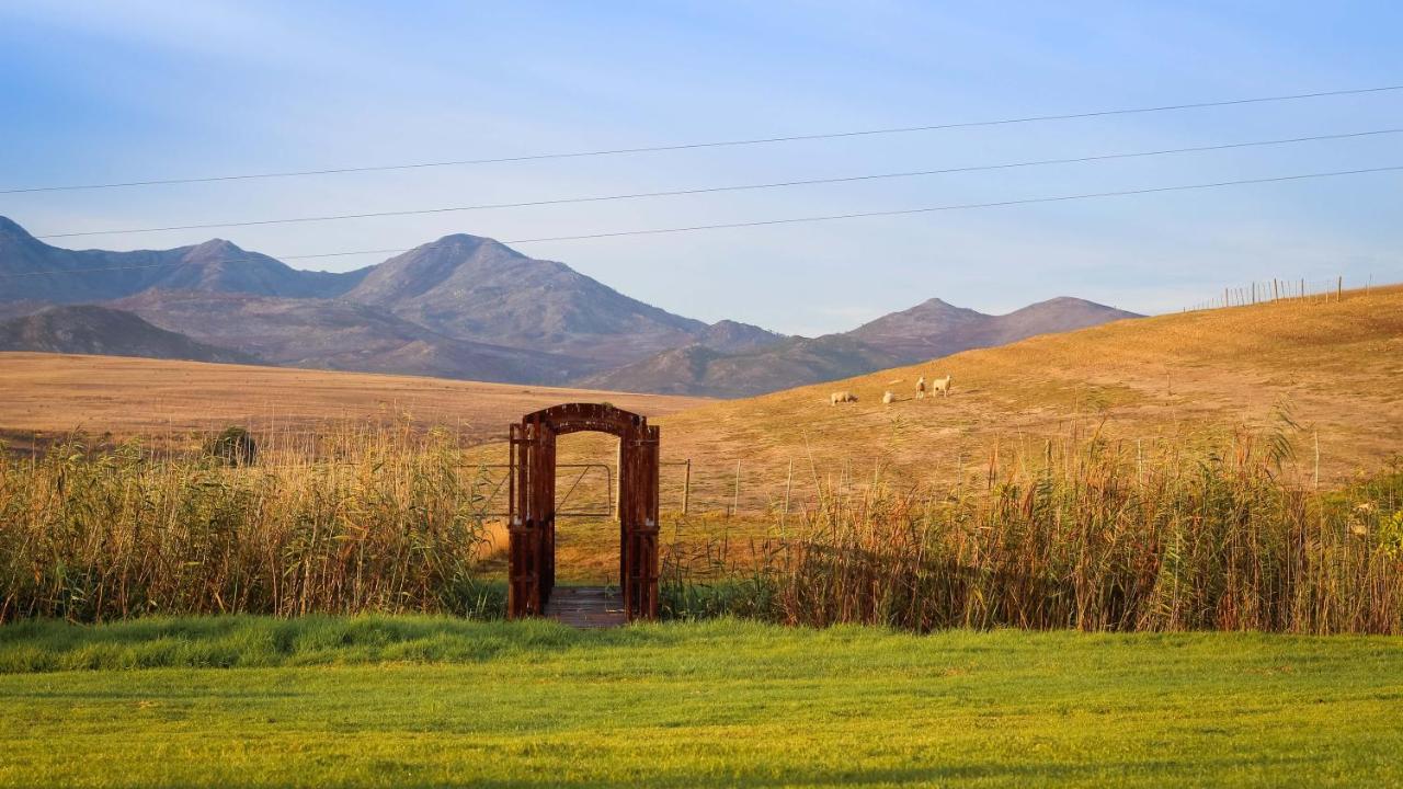 Endless Vineyards At Wildekrans Wine Estate Botrivier Exterior foto