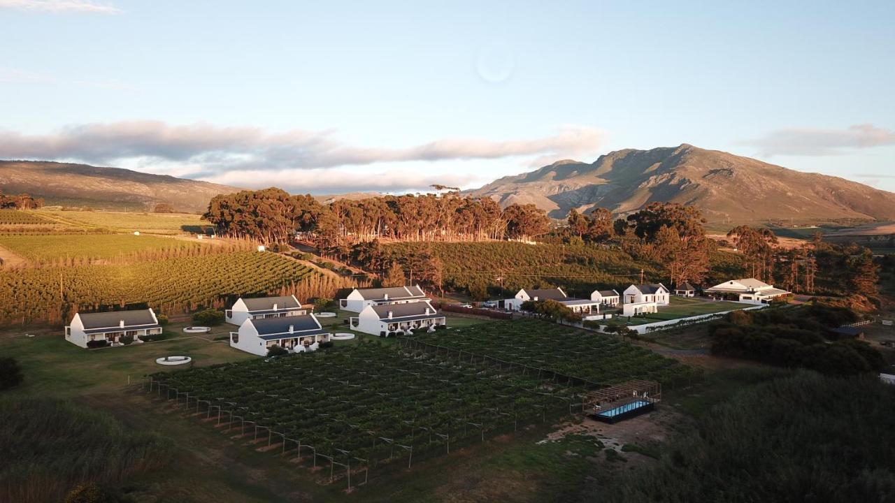 Endless Vineyards At Wildekrans Wine Estate Botrivier Exterior foto