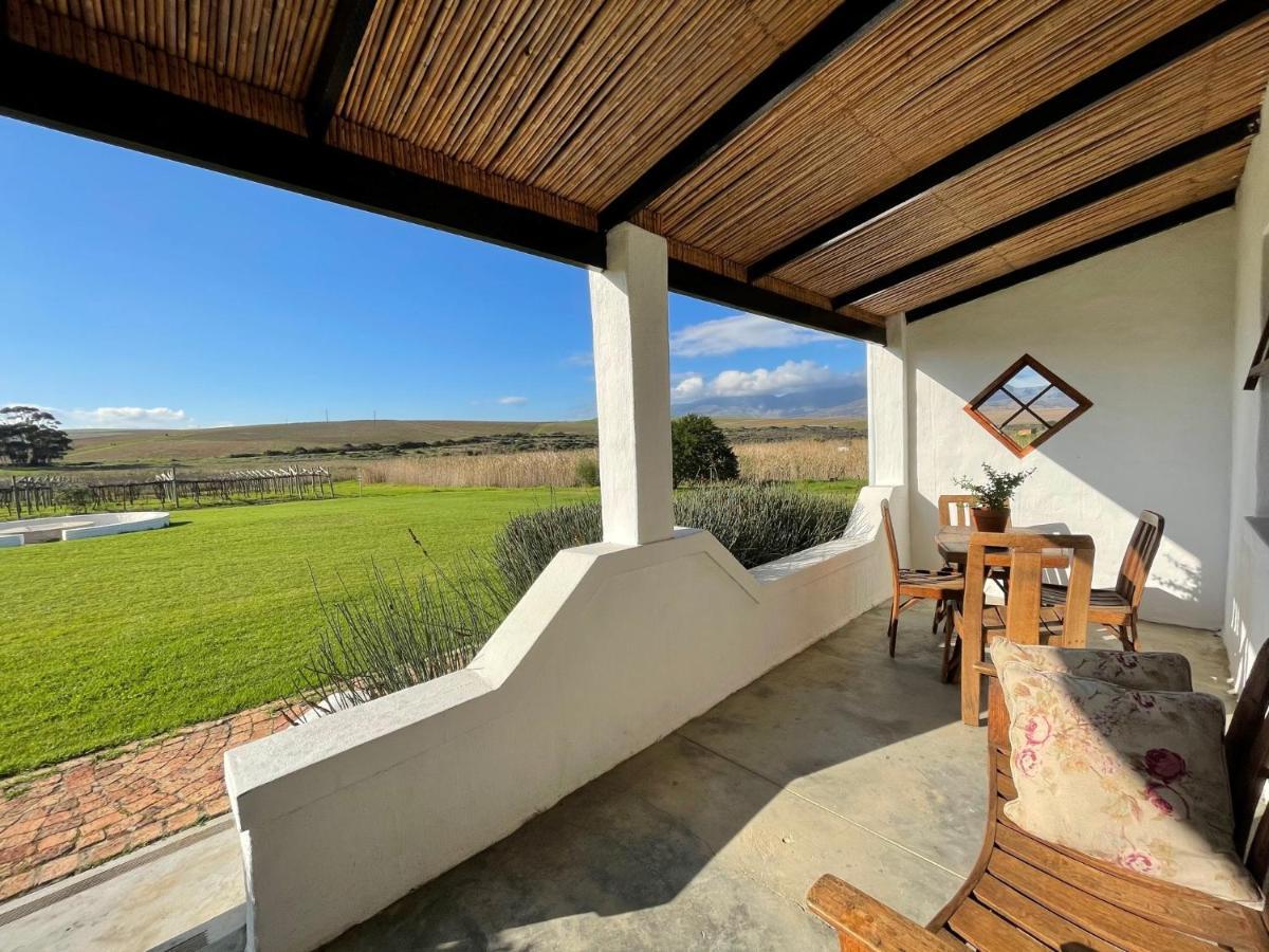 Endless Vineyards At Wildekrans Wine Estate Botrivier Exterior foto