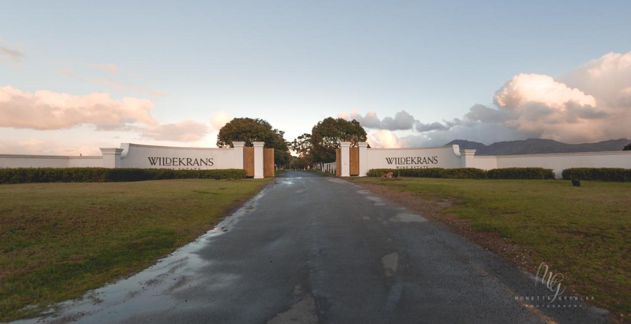Endless Vineyards At Wildekrans Wine Estate Botrivier Exterior foto