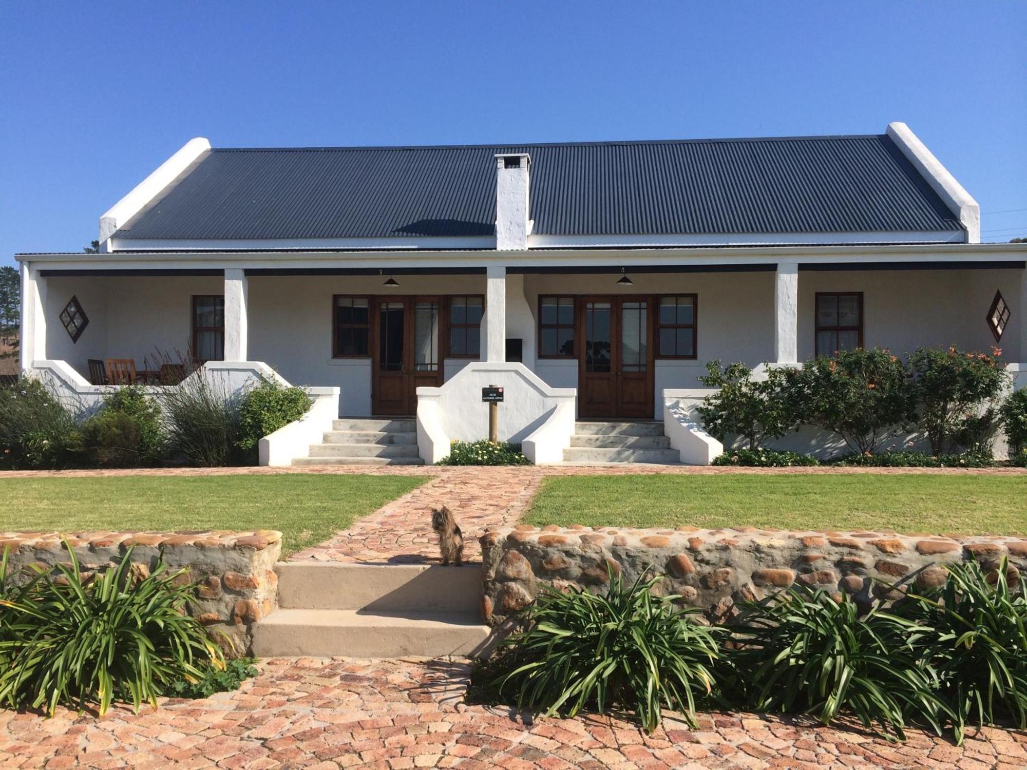 Endless Vineyards At Wildekrans Wine Estate Botrivier Exterior foto