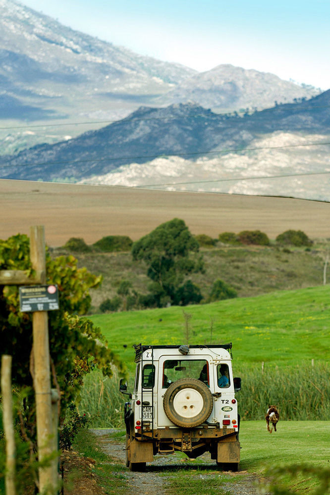 Endless Vineyards At Wildekrans Wine Estate Botrivier Exterior foto