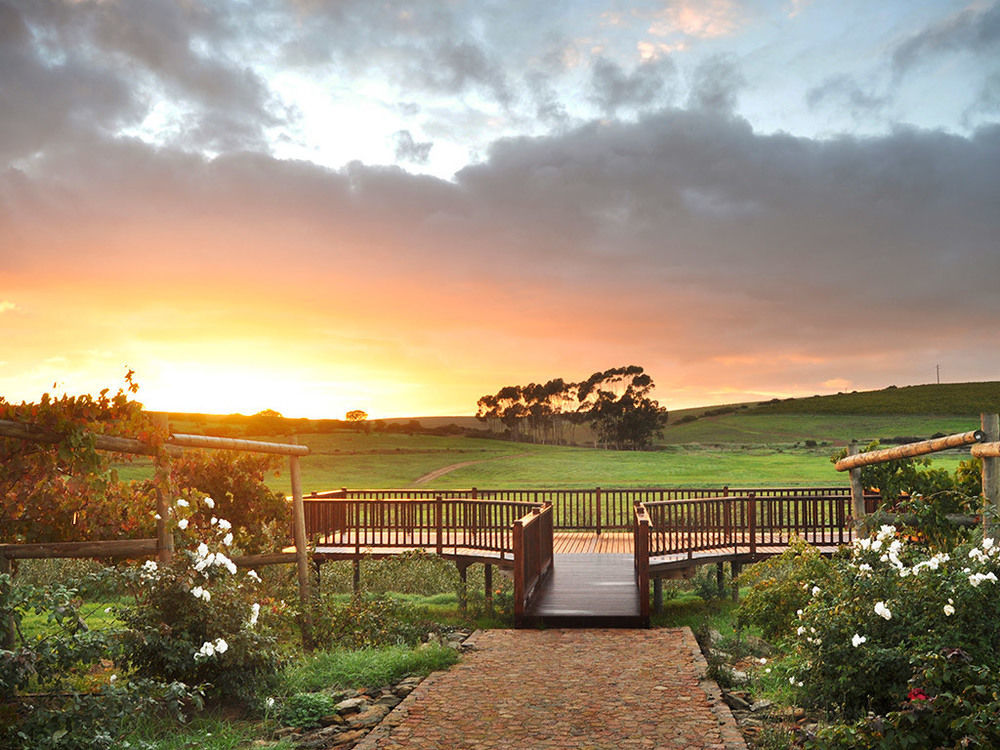 Endless Vineyards At Wildekrans Wine Estate Botrivier Exterior foto