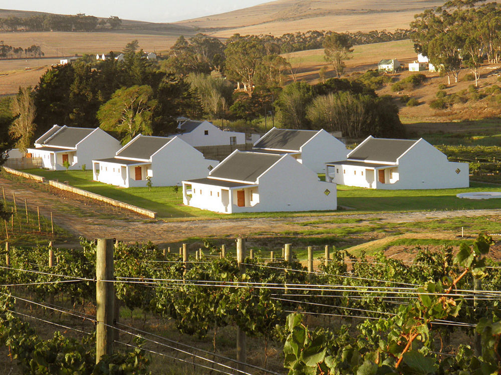 Endless Vineyards At Wildekrans Wine Estate Botrivier Exterior foto