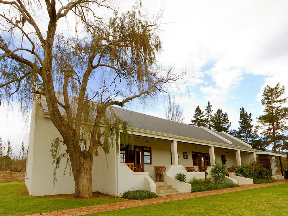 Endless Vineyards At Wildekrans Wine Estate Botrivier Exterior foto