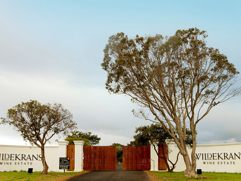Endless Vineyards At Wildekrans Wine Estate Botrivier Exterior foto