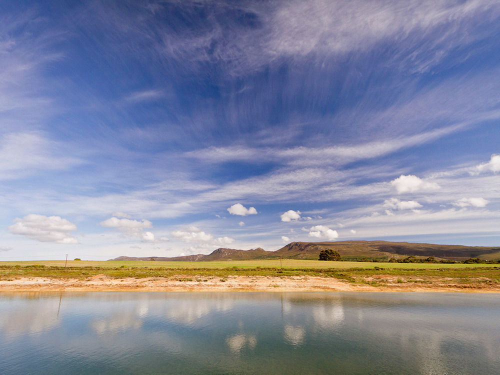 Endless Vineyards At Wildekrans Wine Estate Botrivier Exterior foto