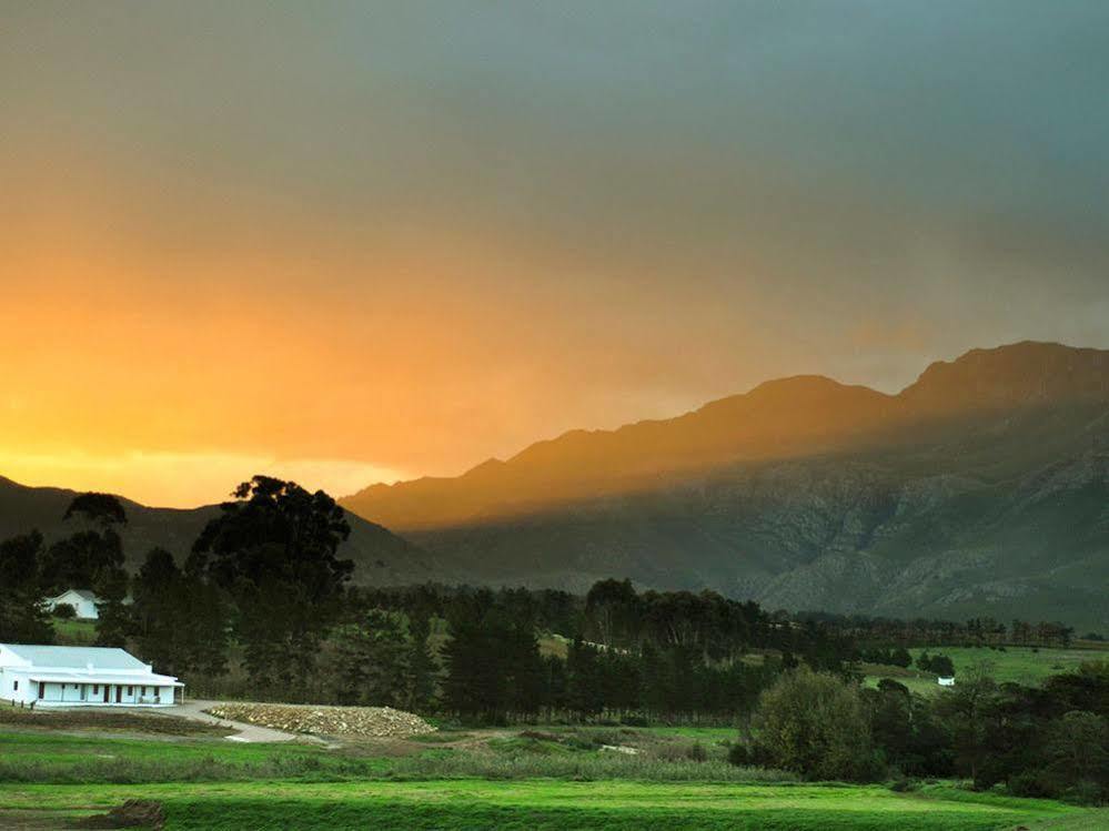 Endless Vineyards At Wildekrans Wine Estate Botrivier Exterior foto