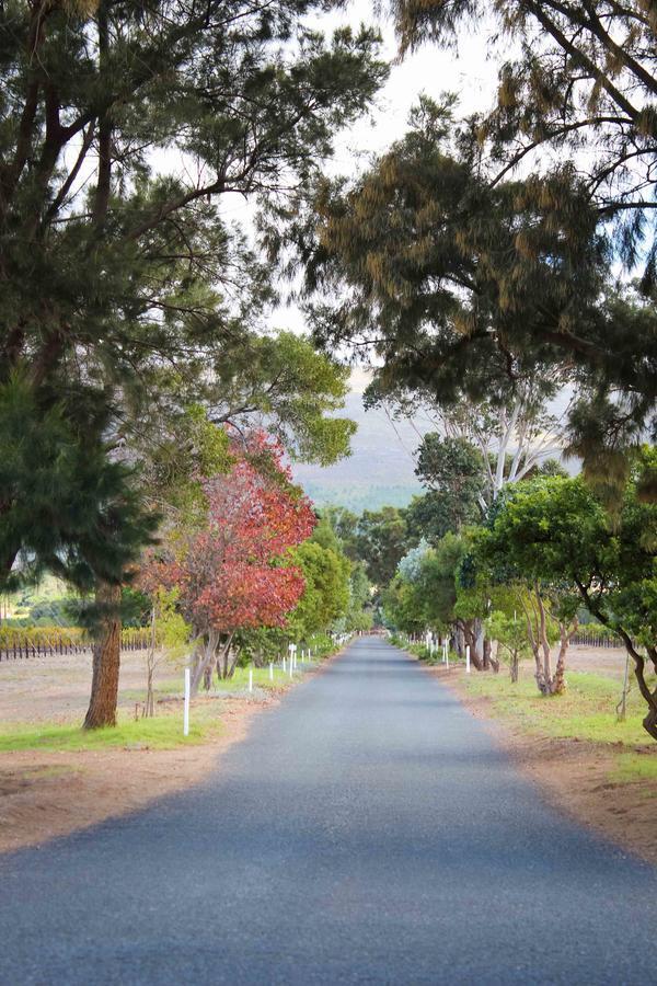 Endless Vineyards At Wildekrans Wine Estate Botrivier Exterior foto