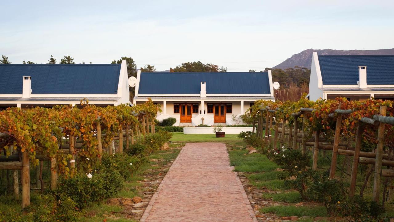 Endless Vineyards At Wildekrans Wine Estate Botrivier Exterior foto